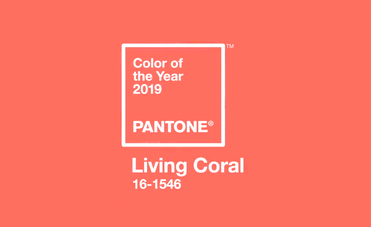 Wie sieht die Farbe Coral aus?